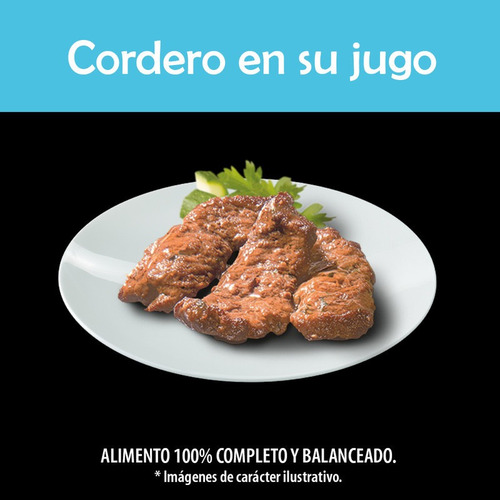 Imagen 3 de 5 de Cesar, Alimento Perro, Cordero En Su Jugo, 24 Uds