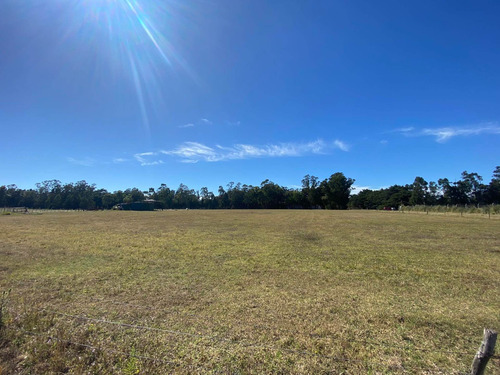 Imagen 8 de 14 de Latorre Prop. Vende Una Hectarea En La Zona De Parque Camet
