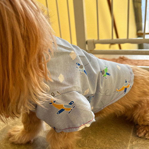 Roupa Pet, Camisa Cachorro E Gato - Roupinha Pet Macho