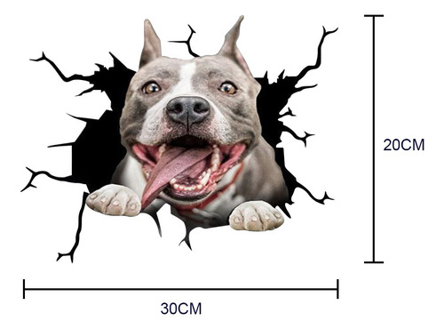 Decoração De Adesivos Para Animais De Estimação W Personalit