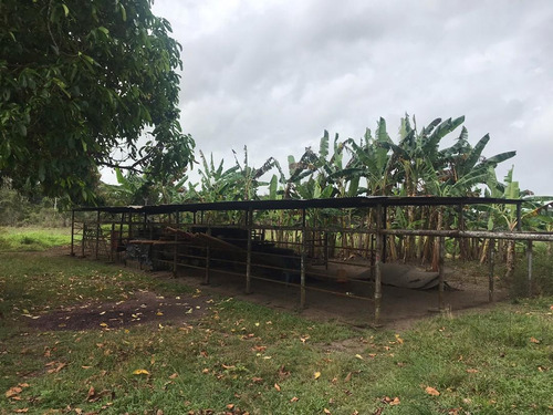 Imagen 11 de 14 de Se Vende Finca En La Vía Al Sur