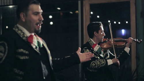 Mariachi Puro Jalisco/serenatas/dia De La Madre/del Amigo