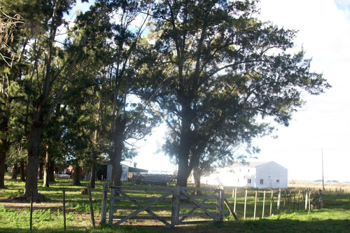 Imagen 15 de 30 de Campo En Venta En Arditti | Ruta 11-km.57 (110 Has)