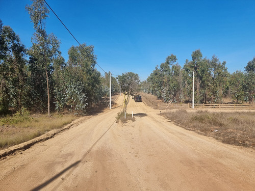 Parcela En Camino A Tunquen, Red De Agua Y Luz