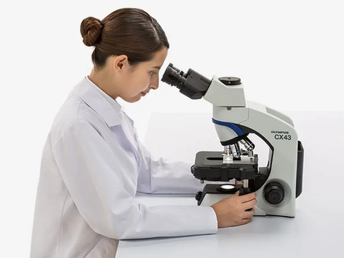 Microscopio Biológico Trinocular Cx43 Olympus