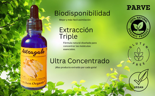 Extracto Triple De Raíz De Astragalus Ultra Concentrado