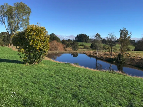 Sitio En Venta Condominio Las Tranqueras Puerto Varas