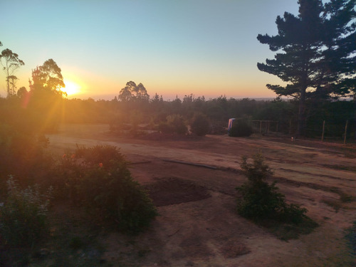 Venta Parcela 5000mts Algarrobo