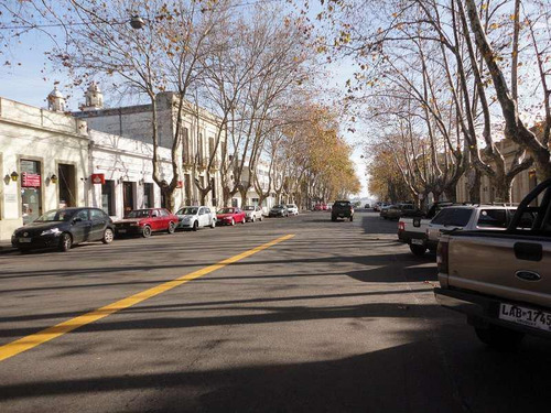 Imagen 7 de 11 de 1 - Avenida General Flores