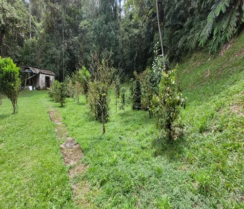 215 Se Vende Hermosa Casa Campestre Ubicada En La Elvira Vereda El Vergel / Cali