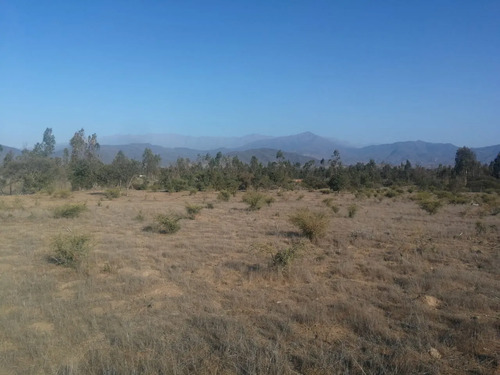 Gran Parcela En Comuna De Zapallar 10000 M2