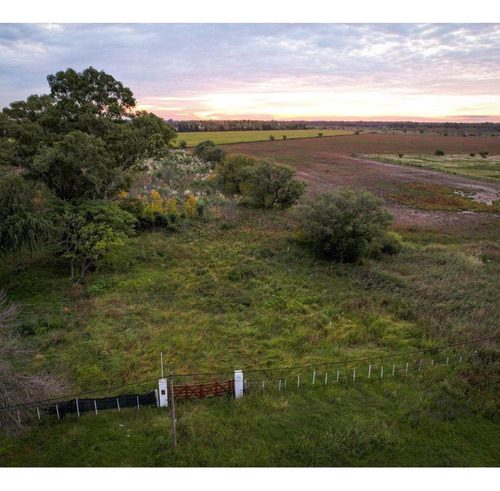 Terreno Industrial En Venta 1,2has Sobre Ruta 18 Alvear/piñero