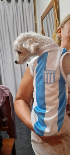 Camiseta De Racing Para Perros Y Gatos Talle Xl