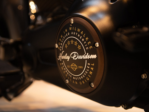 Harley-davidson Softail Fat Boy Custom 2008 - Impecável!