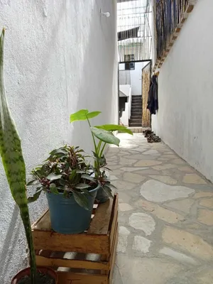 Casa en renta