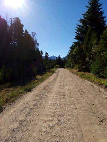 Chacra - Cerro Radal