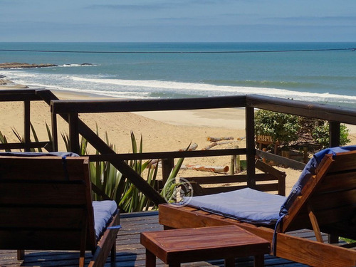 Lobos De Mar En Punta Del Diablo