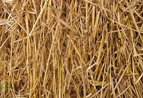 Mulching 600 Gramos / 30 Litros Paja De Trigo Sustrato