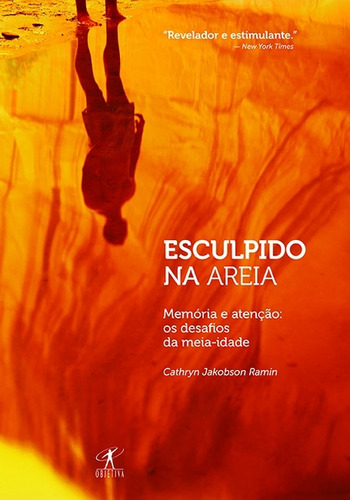 Esculpido na areia, de Ramin, Cathryn Jakobson. Editora Schwarcz SA, capa mole em português, 2009