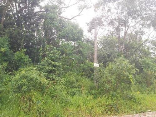 Imagem 4 de 8 de 7010 Kym - Terreno De Chácara - Parque Real- 4.000 M².