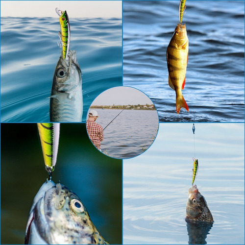 Imagen 8 de 8 de Señuelos De Pesca Pack De 40 Piezas 5-11 Cm Armería Virtual