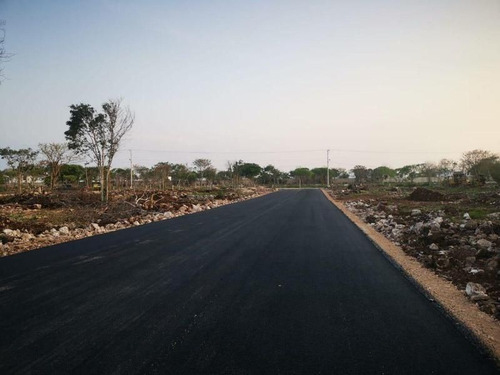 Imagen 1 de 5 de Terreno En Venta Merida Conkal