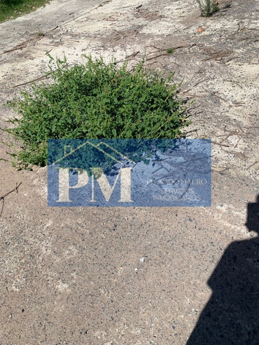 Terreno En Venta En Velloso