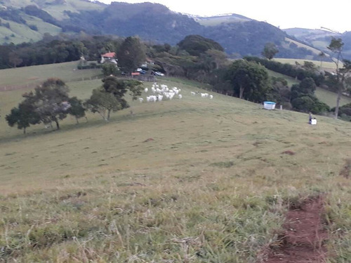 Imagem 19 de 20 de Rural - Venda - Boqueirao - Praia Grande - Mcb1038