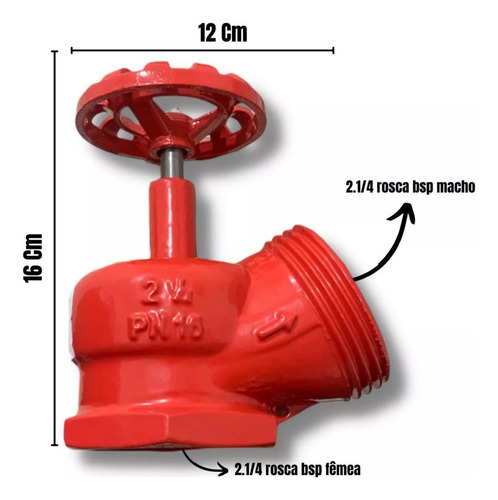 Válvula Globo Angular Pn16 2.1/2 X 45 Graus Segurimax