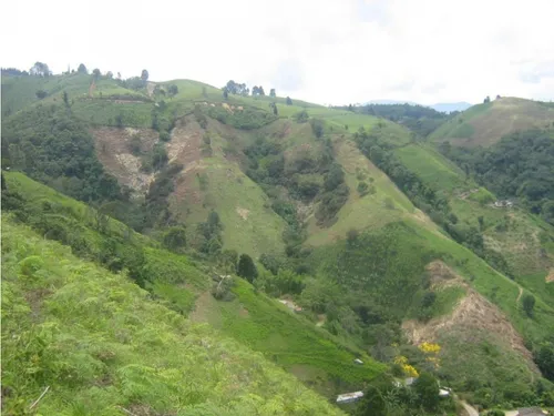 Finca En Vender En Dabeiba