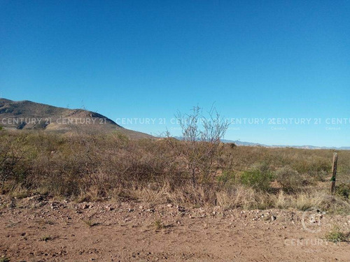 Imagen 1 de 2 de Terreno En Venta En Sacramento