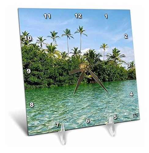 3drose Dc*****palm Trees And Ocean San Blas Islands-reloj De