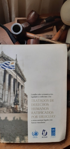 Ratificación De Tratados De Derechos Humanos X Uruguay 