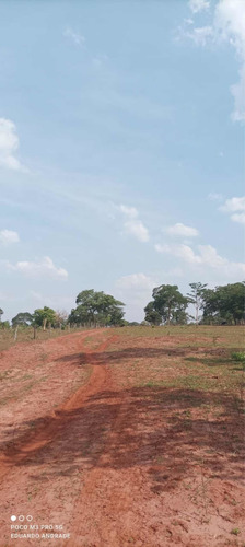 Imagem 4 de 13 de Fazenda Município De Comendador Gomes