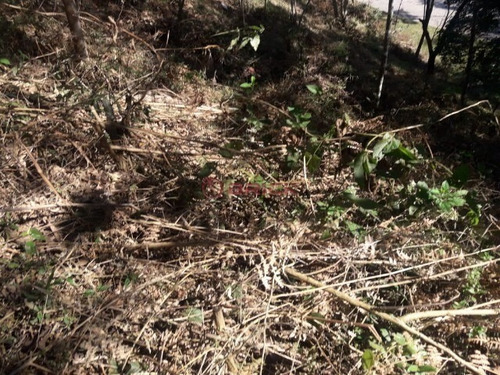 Imagem 8 de 24 de Terreno Com 340 M² Em Condomínio Em Vargem Grande. - Te00279 - 34416617