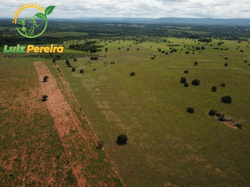 Imagem 6 de 15 de Fazenda À Venda Em Fátima - To-excelente P/ Lavoura, Plantio De Até 800 Hec - 1617