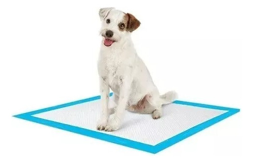 Pack 30 Sabanilla Entrenamiento Empapadores Mascota 60x60cm