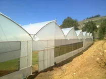 Comprar Plastico Agrofilm Para Invernadero Calibre 6, 8 Y 10
