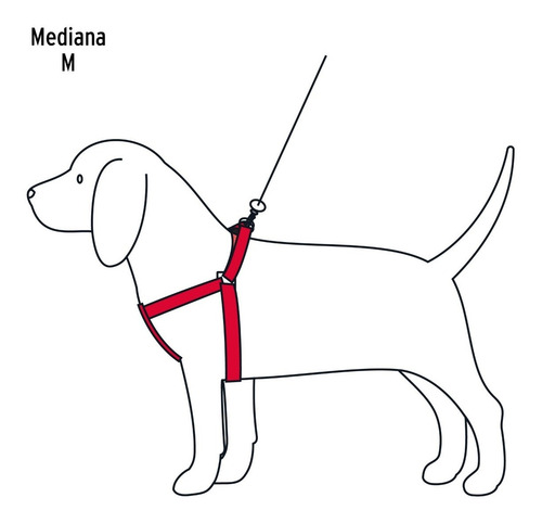 Correas Con Pechera P/ Perro Mediano Color A Elegir 1.5 Cm