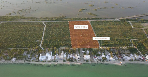 Lotes En Venta Soletta A Tan Solo Unos Minutos D Elas Playas De Chicxulub.