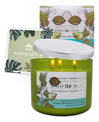 Vela De Aromaterapia De Eucalipto De Menta De 3 Mechas | Vel