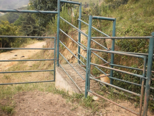 Imagen 3 de 14 de Finca 70 Hectareas Mun Tovar Aragua