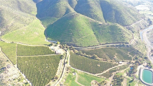 Imagen 12 de 15 de Agrícola En Venta En Monte Patria