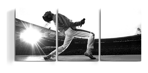 Cuadro Triptico Freddie Mercury Bohemian Rhapsody Knebworth