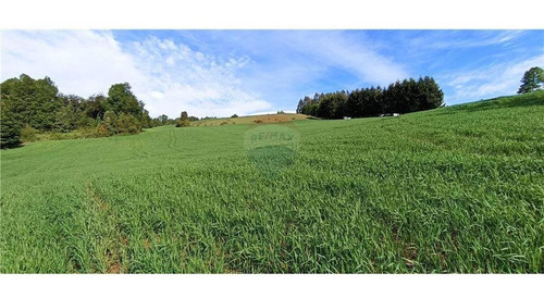 Imagen 26 de 30 de Remax Vende Proy. Volkania Camino A Malalcahuello