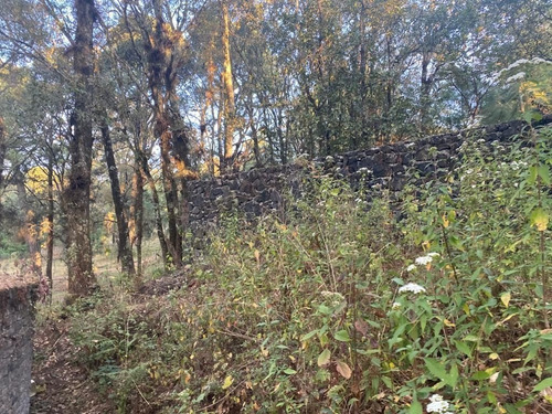 Imagen 4 de 8 de Gran Terreno En Zona Arbolada En Paraje Cuacuametla, Huitzil