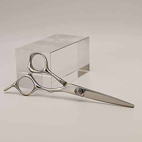 Tijera De Pelo Profesional De 5.5 De Alta Gama