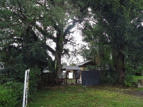 Terreno Em Pedra Redonda - Mi16388