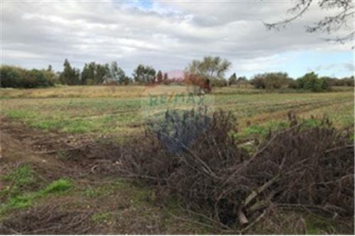 Imagen 8 de 15 de Oportunidad De Inversión En Talca Zona Ranquimili