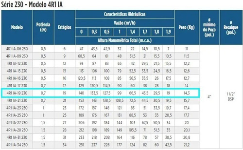 Motobomba Submersa Leão 4r1ia-19 230 0.7 Cv Monofásico 110v